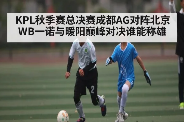 KPL秋季赛总决赛成都AG对阵北京WB一诺与暖阳巅峰对决谁能称雄